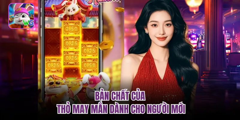 Bản chất của thỏ may mắn dành cho người mới 