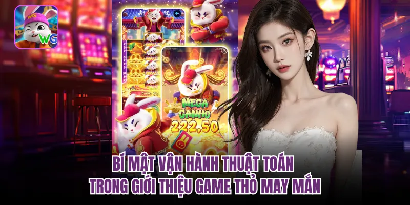 Bí mật vận hành thuật toán trong giới thiệu game thỏ may mắn