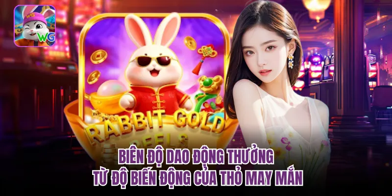 Biên độ dao động thưởng từ độ biến động của thỏ may mắn