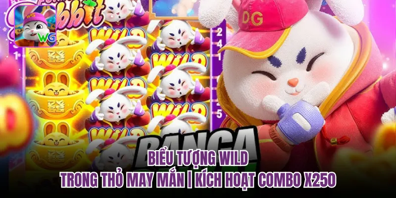 Biểu Tượng Wild Trong Thỏ May Mắn | Kích Hoạt Combo X250
