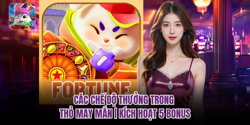 Các Chế Độ Thưởng Trong Thỏ May Mắn | Kích Hoạt 5 Bonus