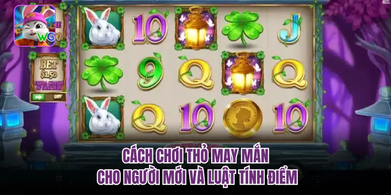 Cách chơi thỏ may mắn cho người mới và luật tính điểm