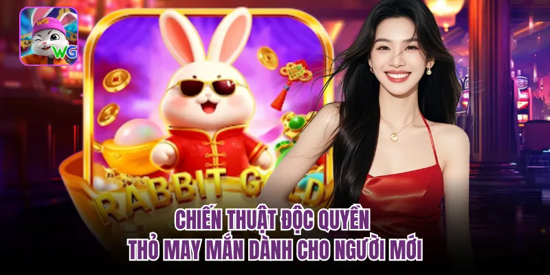 Chiến thuật độc quyền thỏ may mắn dành cho người mới 
