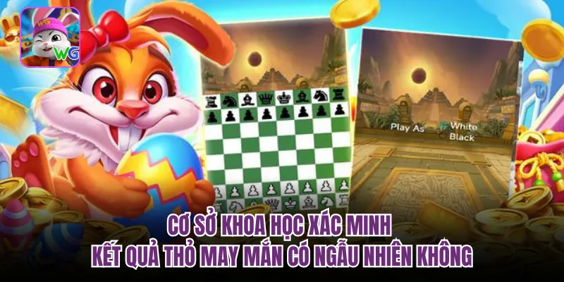 Cơ sở khoa học xác minh kết quả thỏ may mắn có ngẫu nhiên không