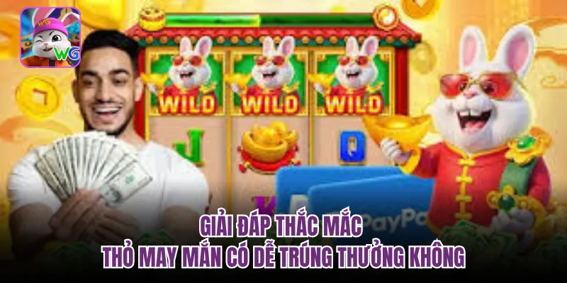 Giải đáp thắc mắc thỏ may mắn có dễ trúng thưởng không