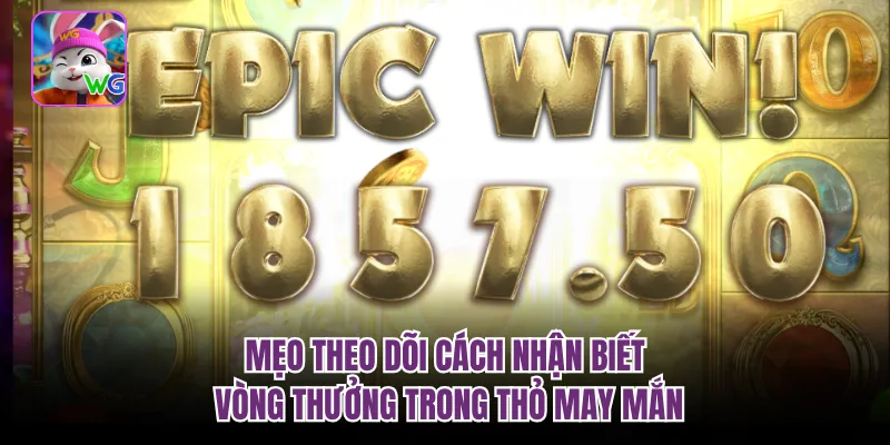 Mẹo theo dõi cách nhận biết vòng thưởng trong thỏ may mắn