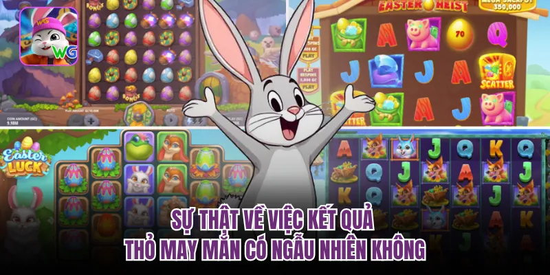 Sự thật về việc kết quả thỏ may mắn có ngẫu nhiên không