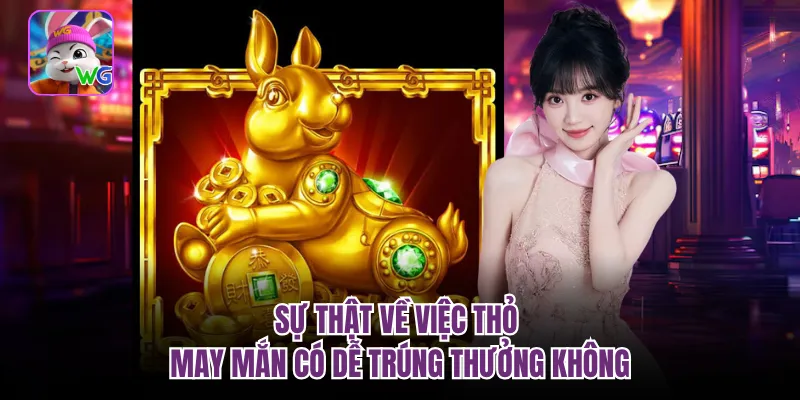 Sự thật về việc thỏ may mắn có dễ trúng thưởng không