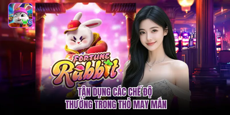 Tận dụng các chế độ thưởng trong thỏ may mắn