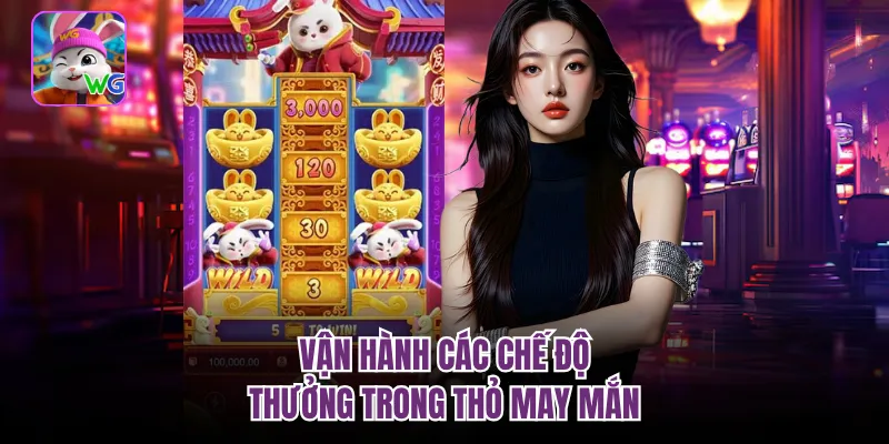 Vận hành các chế độ thưởng trong thỏ may mắn